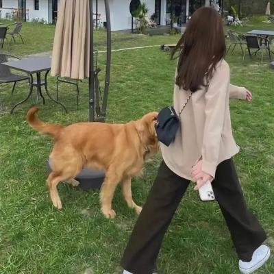 战栗游戏